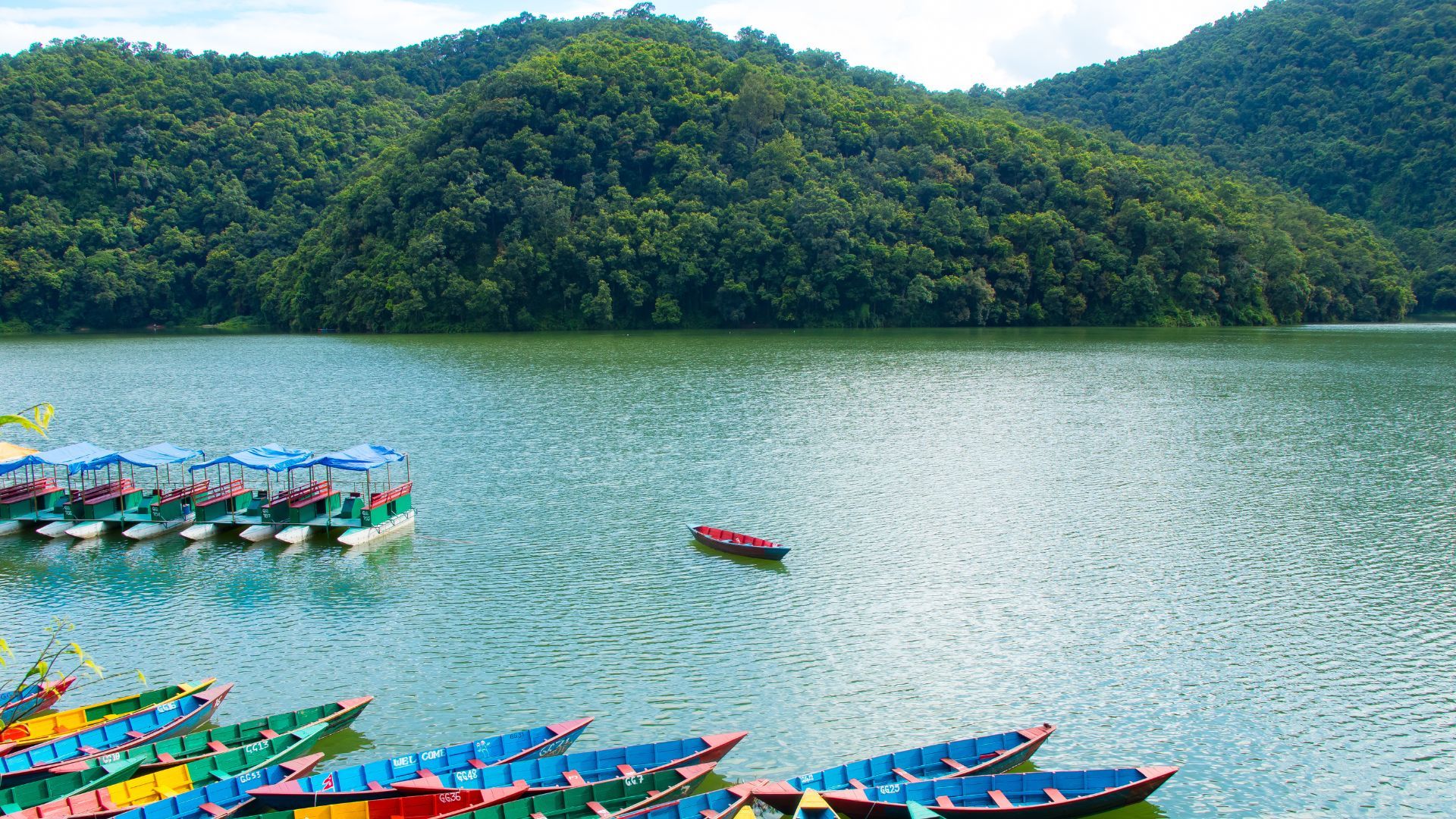 Day 02: Bhairahawa - Pokhara (Fly)